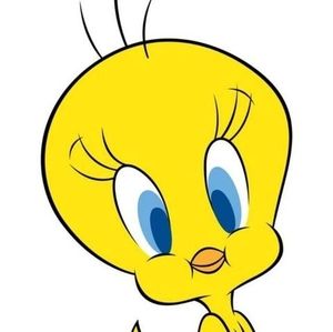 Meet your Posher, Sunshine